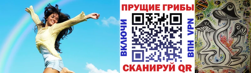 Галлюциногенные грибы мицелий  Сурск 